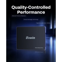 Festplatte Biwin M100 1 TB SSD