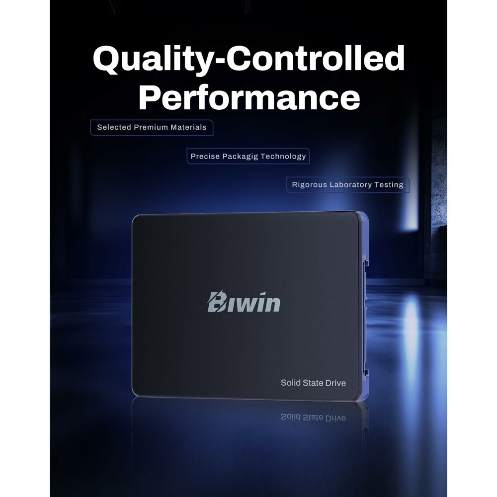 Festplatte Biwin M100 1 TB SSD