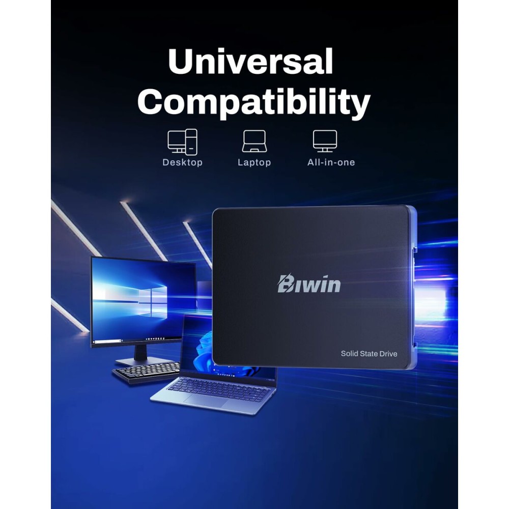 Festplatte Biwin M100 1 TB SSD
