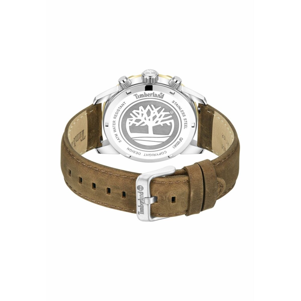 Montre Homme Timberland TDWGF0056102