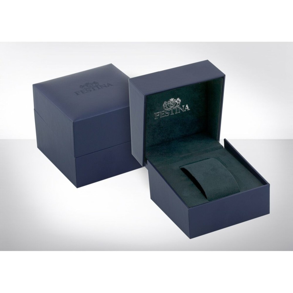 Montre Homme Festina F16856/1