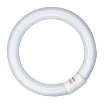 Fluorescent pipe Patron 20 W G10Q (6400 K)
