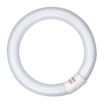 Leuchtstoffröhre Patron 20 W G10Q (6400 K)