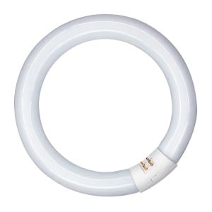 Fluorescent pipe Patron 20 W G10Q (6400 K)