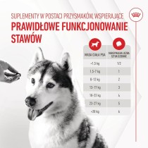 Hundesnack Royal Canin Supplements Dog Joint & Ageing Adult 240 g