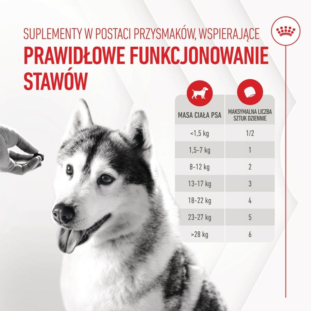 Snack pour chiens Royal Canin Supplements Dog Joint & Ageing Adult 240 g