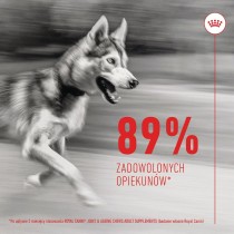 Hundesnack Royal Canin Supplements Dog Joint & Ageing Adult 240 g