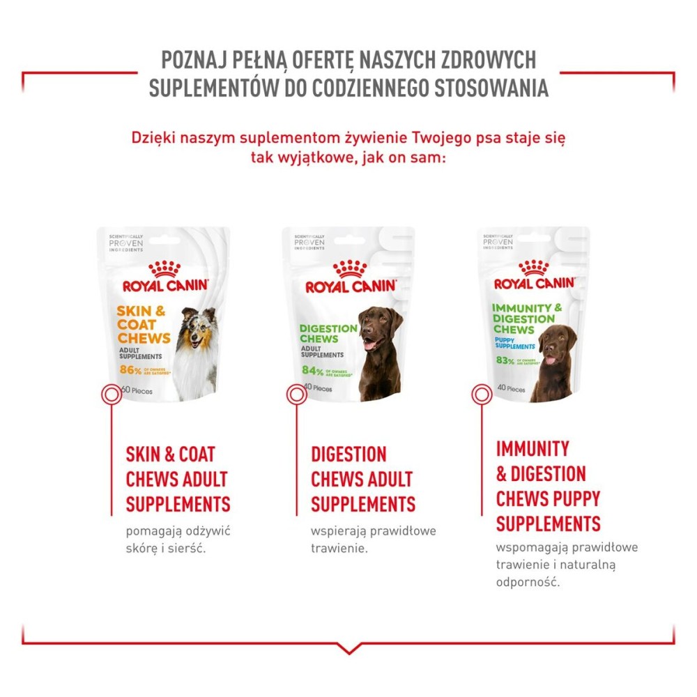 Snack pour chiens Royal Canin Supplements Dog Joint & Ageing Adult 240 g