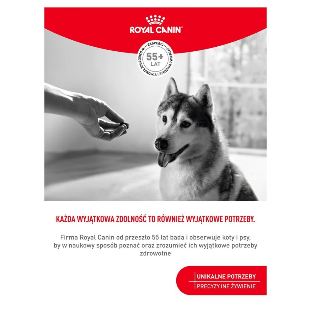 Snack pour chiens Royal Canin Supplements Dog Joint & Ageing Adult 240 g
