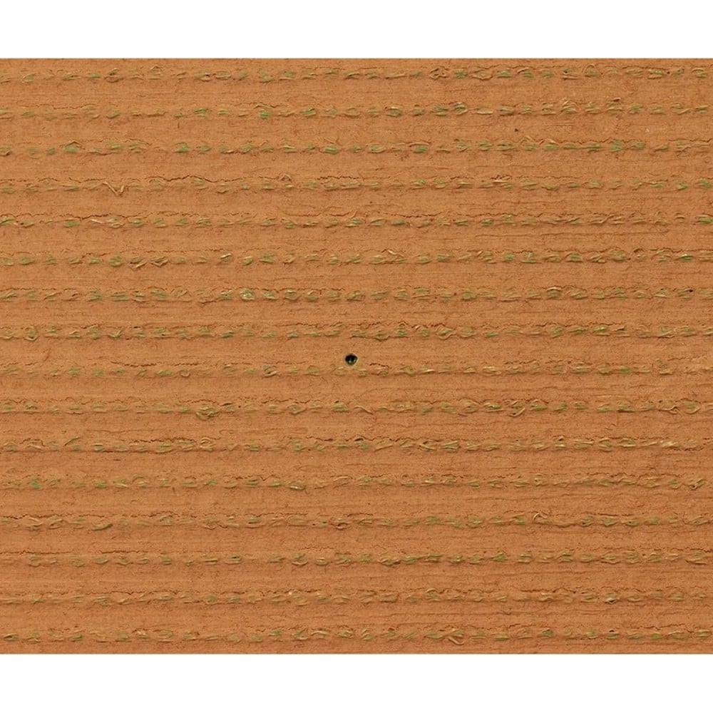 Gazon artificiel Exelgreen Campus 2D 1 x 5 m 25 mm