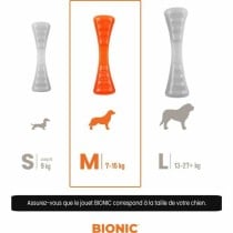 Dog toy Bionic Urban stick Orange 23 cm M