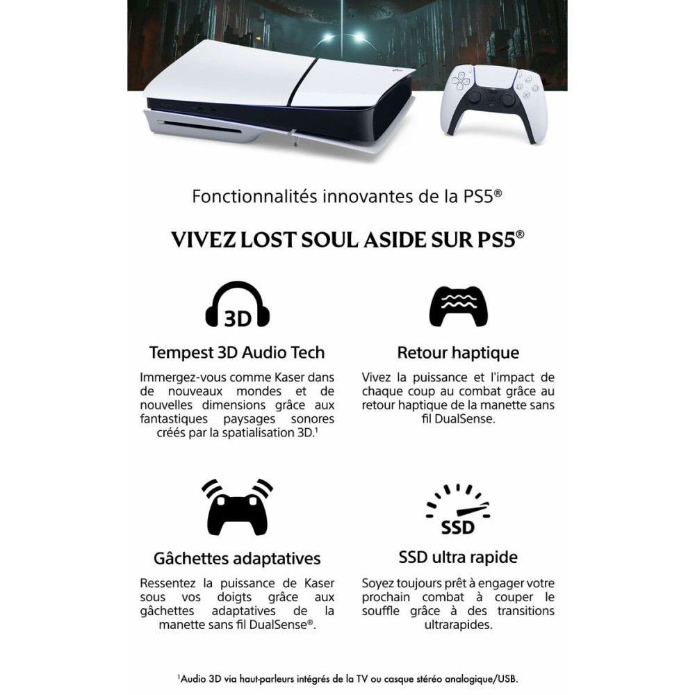 Jeu vidéo PlayStation 5 Sony Lost Soul Aside