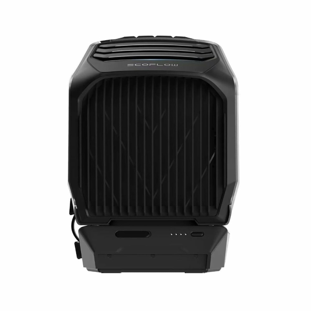 Purificateur d'Air Ecoflow 5010201010 Noir A