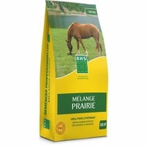 Seeds BHS 5 kg