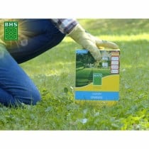 Seeds BHS 1 kg
