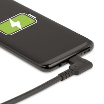 Câble USB-C Startech RUSB31CC1MBR Noir 1 m