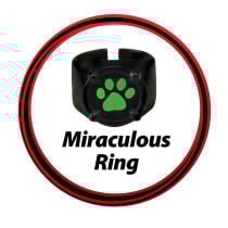 Déguisement pour Enfants Miraculous: Tales of Ladybug & Cat Noir Transformation Set - Cat Noir 4 Pièces Noir Multicouleur