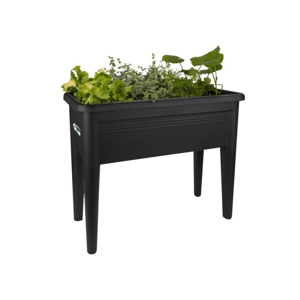 Pflanzgestell Elho Green Basics XXL Schwarz Kunststoff 75 cm