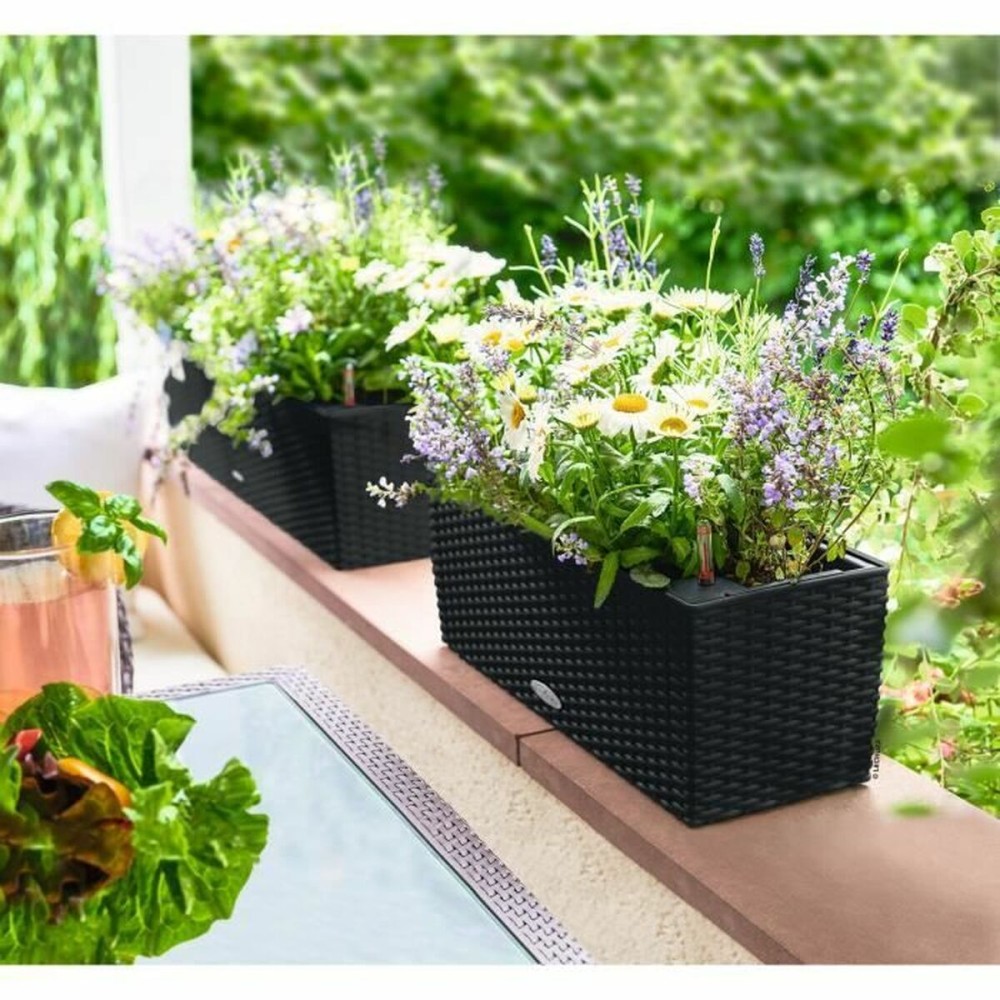 Plant pot Lechuza
