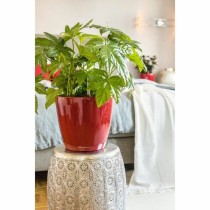 Blumentopf Lechuza Rot Polypropylen rund