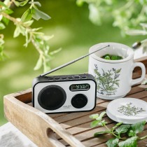 Radio Adler Schwarz