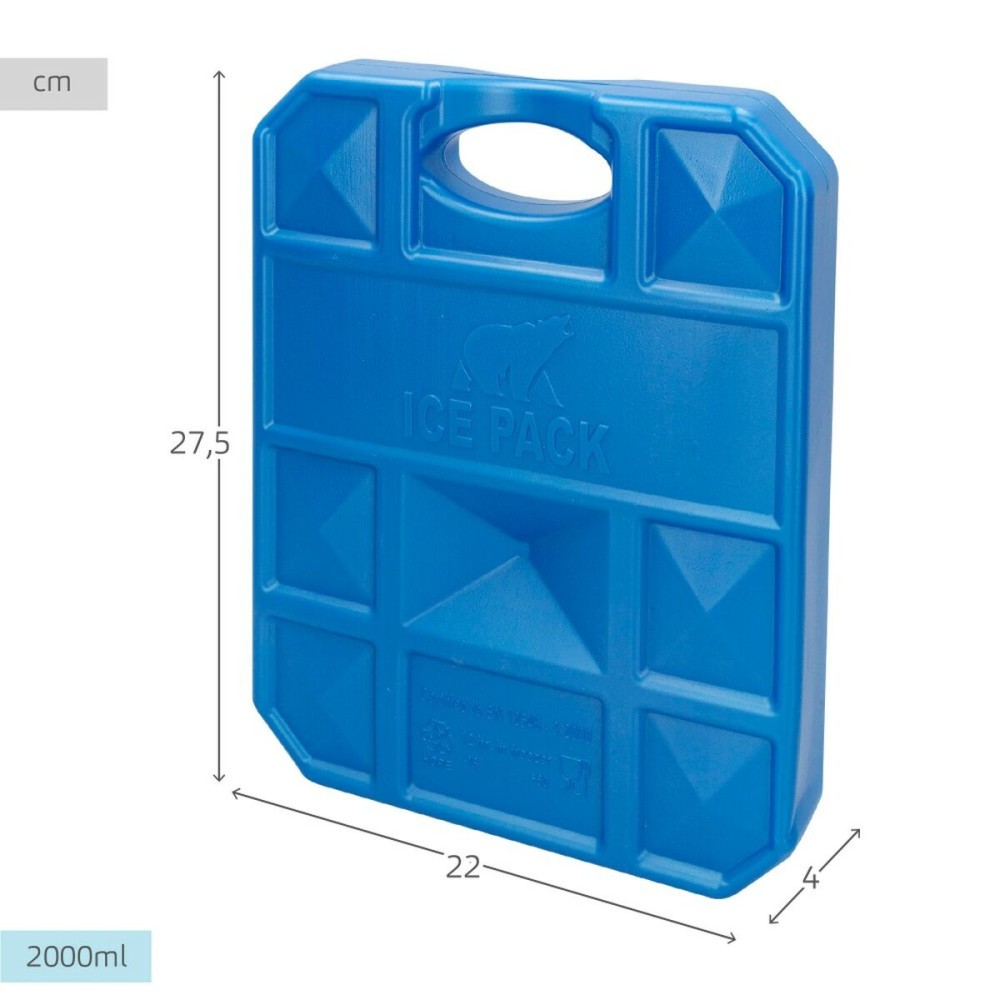 Kältespeicher Aktive Blau 2 Kg 22 x 27,5 x 4 cm (6 Stück)