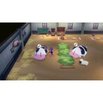 Jeu vidéo pour Switch Just For Games Story of Seasons Grand Bazaar