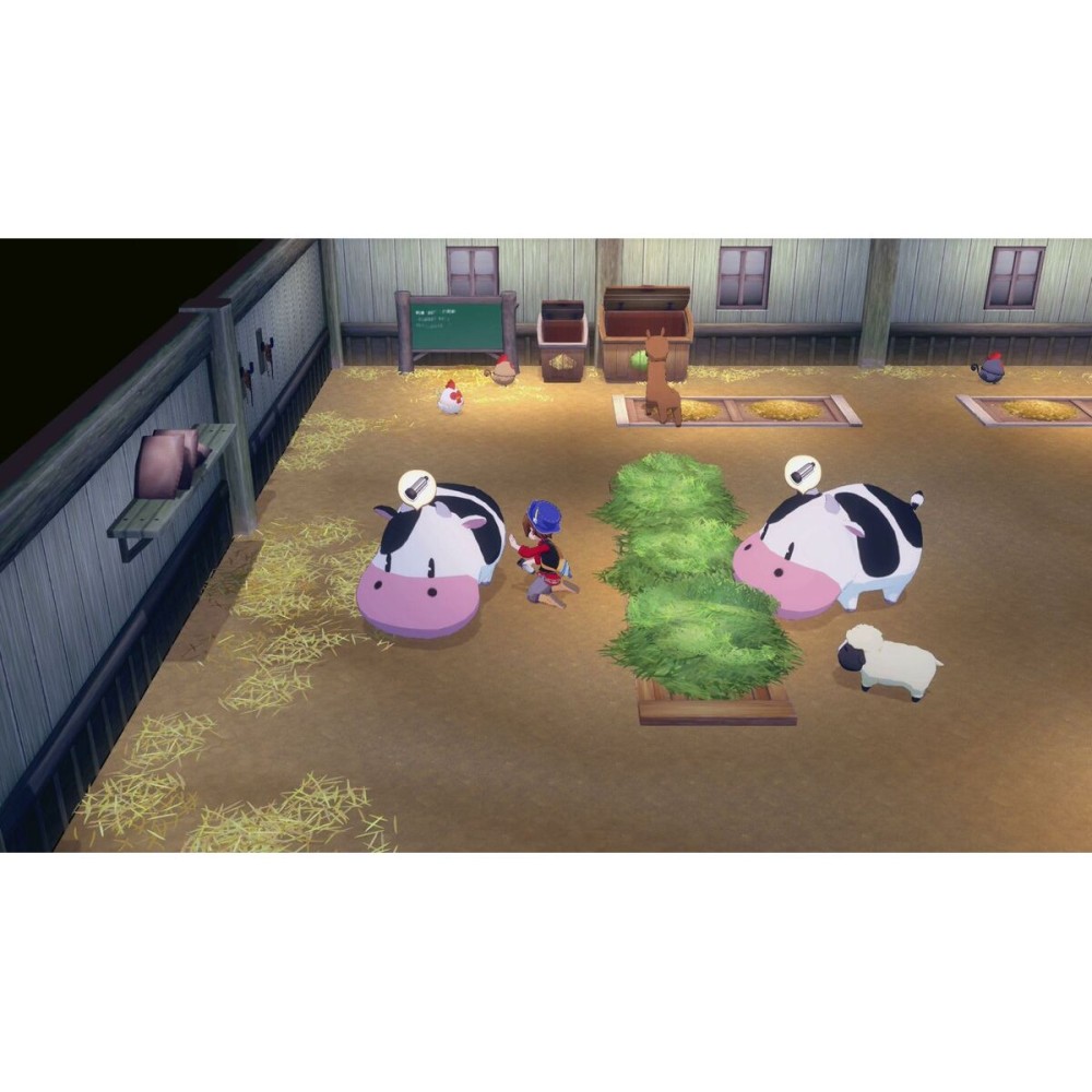Jeu vidéo pour Switch Just For Games Story of Seasons Grand Bazaar