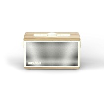 Tragbare Bluetooth-Lautsprecher Pure 254373