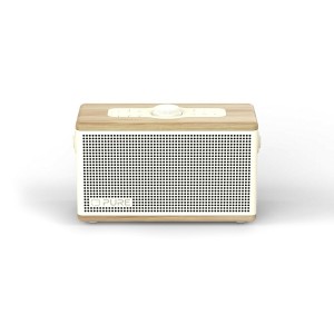 Tragbare Bluetooth-Lautsprecher Pure 254373