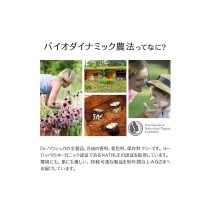 Day Cream Dr. Hauschka 30 ml