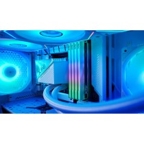 Mémoire RAM Adata AX5U6000C3016G-CLANRSG 32 GB DDR5 6000 MHz cl30
