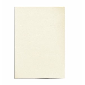 Binding covers Fellowes 5370004 100 Units Ivory A4 Cardboard