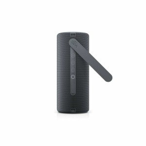 Tragbare Lautsprecher Loewe We. HEAR 2 Grau 15 W 60 W