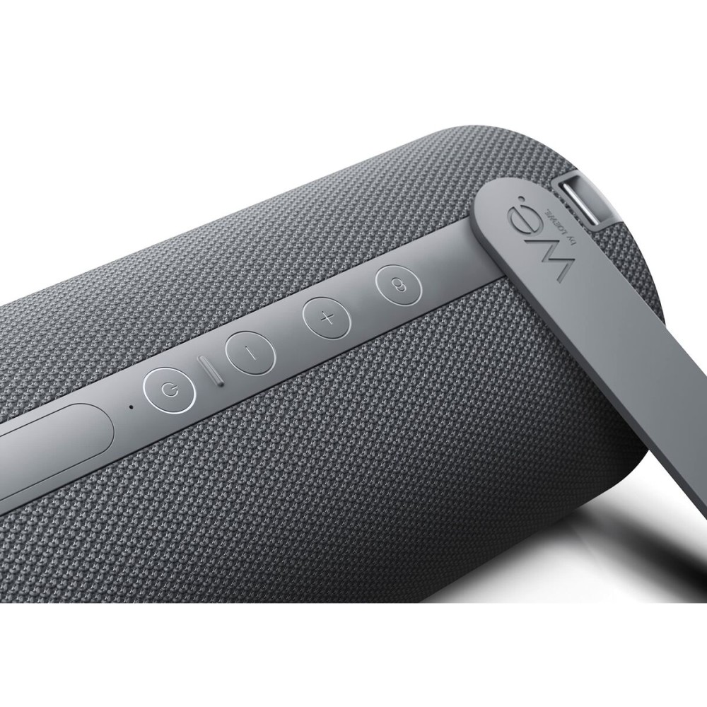 Tragbare Lautsprecher Loewe We. HEAR 2 Grau 15 W 60 W