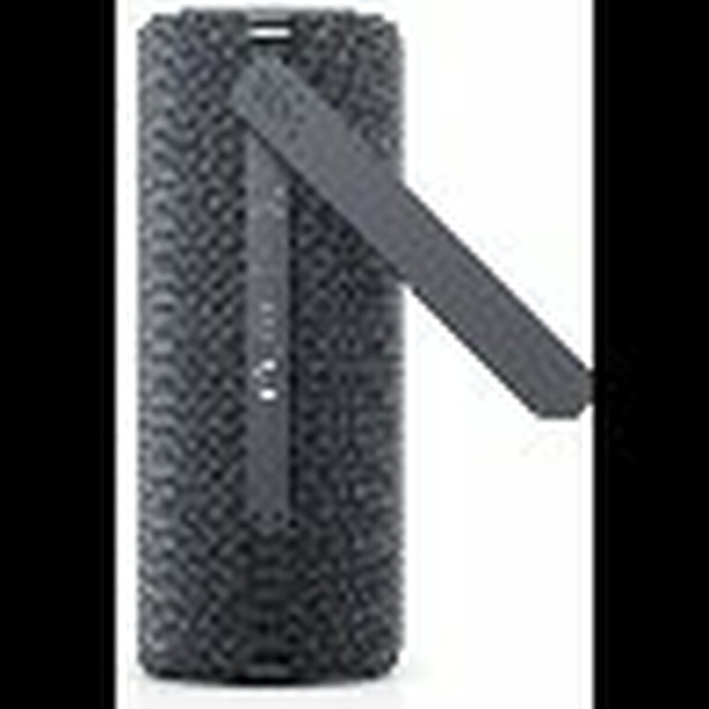 Tragbare Lautsprecher Loewe We. HEAR 2 Grau 15 W 60 W