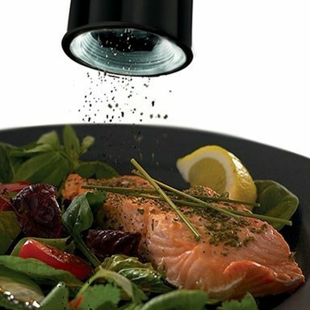 Moulin à épices Russell Hobbs 28010-56 Noir (2 Unités)