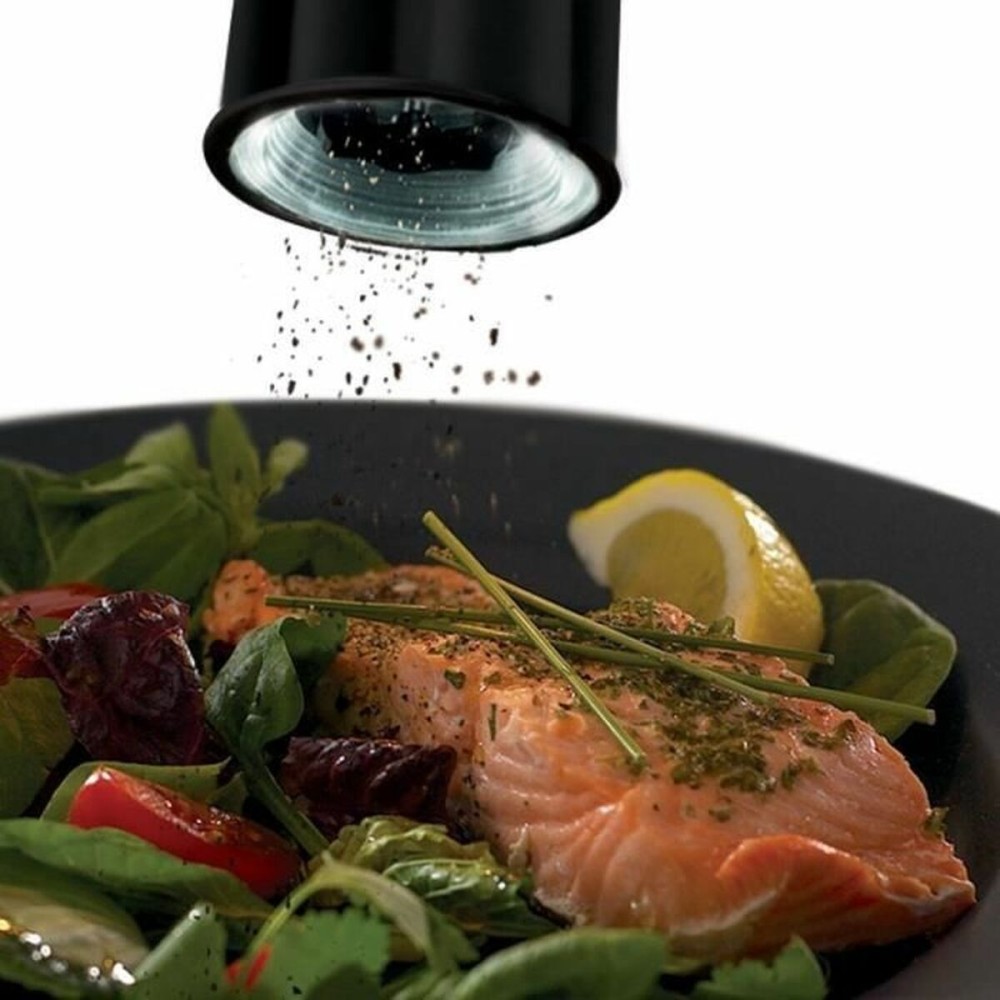 Moulin à épices Russell Hobbs 28010-56 Noir (2 Unités)