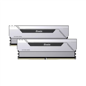 RAM Memory Biwin HX100 32 GB DDR5 6000 MHz cl30