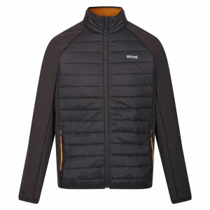 Veste de Sport pour Homme Regatta Clumber IV Hybrid Noir