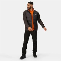 Sportjackefür Herren Regatta Clumber IV Hybrid Schwarz