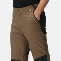 Long Sports Trousers Regatta Questra V Brown