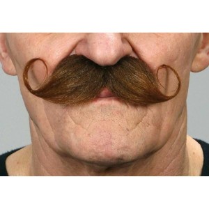 Moustache My Other Me