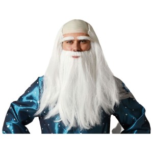 Wigs Grey Elderly person