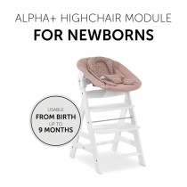 Baby Hammock Hauck