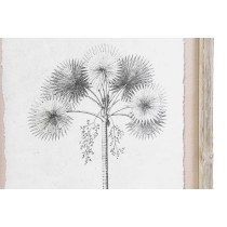 Cadre DKD Home Decor Verre Bois MDF 35 x 1,8 x 45 cm