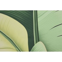 Cadre Home ESPRIT Aluminium Bois MDF 80 x 3,5 x 80 cm
