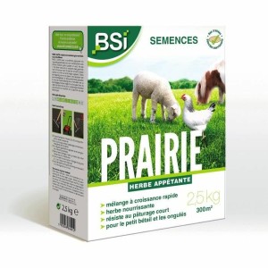 Samen BSI