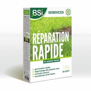 Samen BSI Reparación Rápida 1 kg