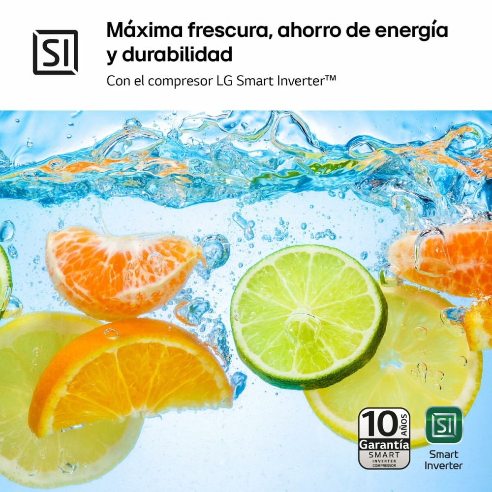 Réfrigérateur Combiné LG GTBV22PYGKD 145 Acier